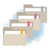Mejor organización